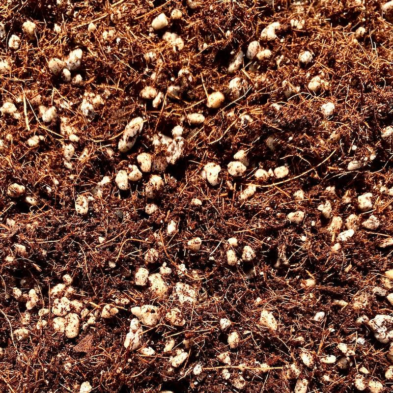 The Perfect Pair: 1 Coco Biochar Soil Super Ingredient & 1 Perfect Planting Mix